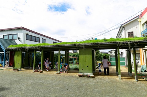 福知山丹陽保育園　草屋根の渡り廊下