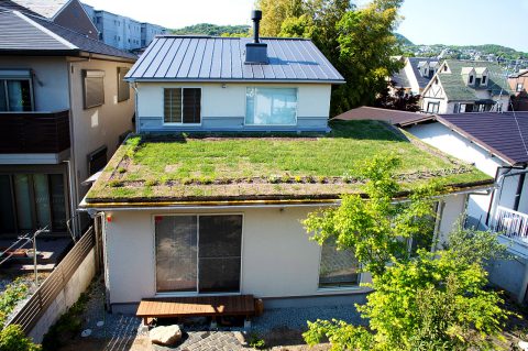 おはよう、の草屋根の家